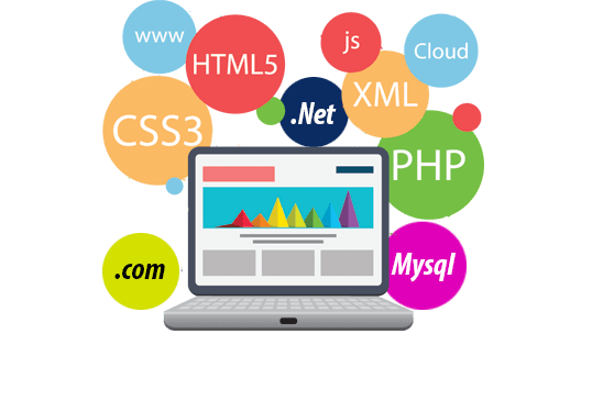 Custom Solution Development 2